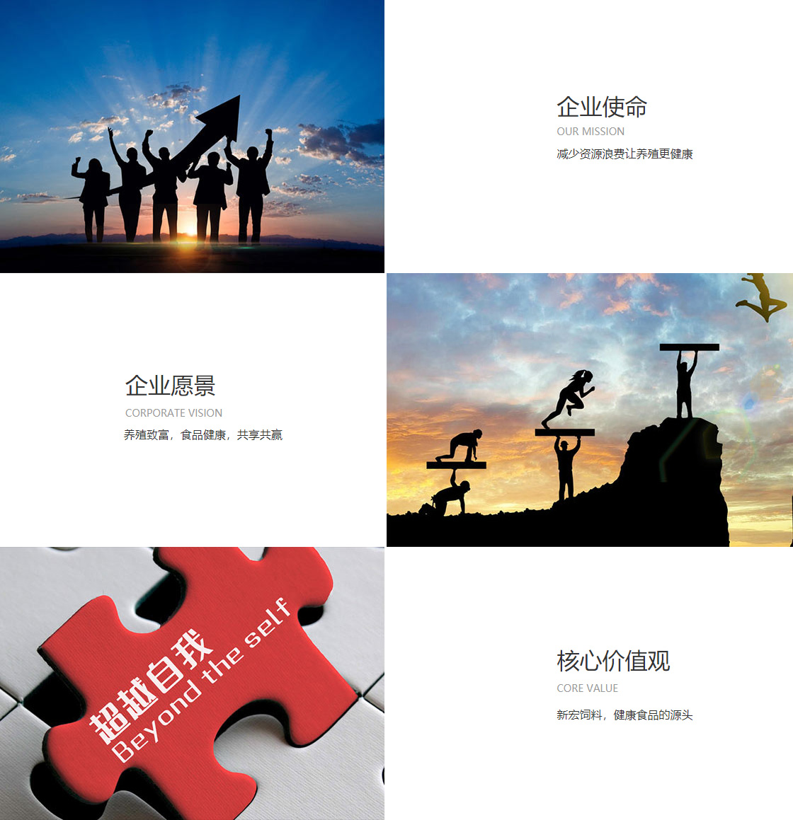 德福正神彩票官网(图1)